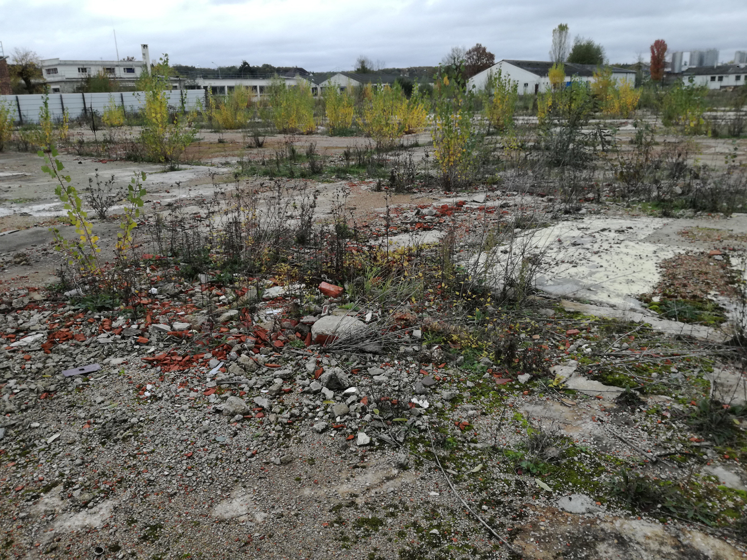 Pilotage d’un projet de reprise d’une friche industrielle